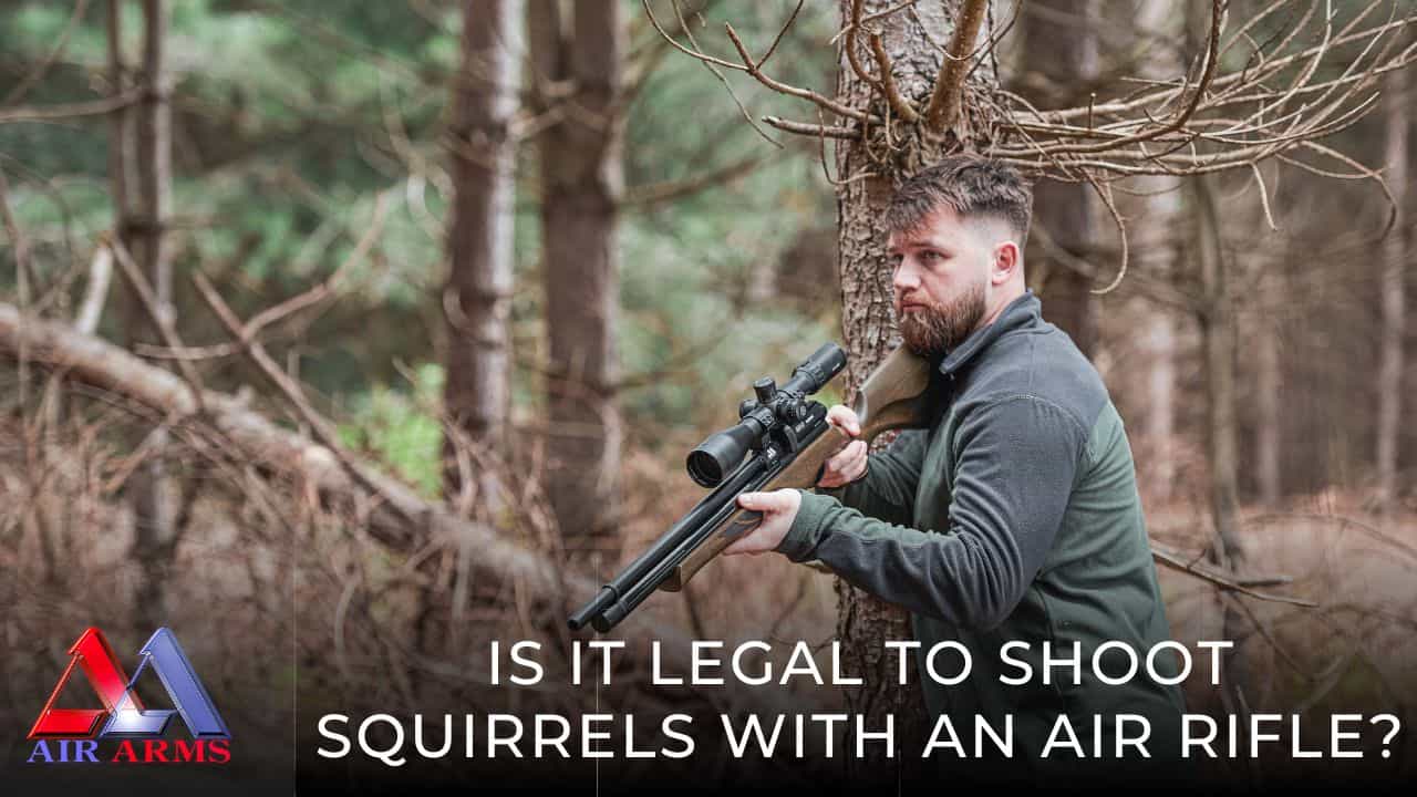 Is it legal to shoot squirrels with an air rifle?